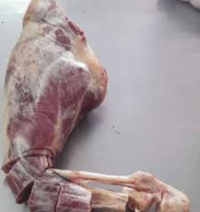 Goats 6 Piece - Image 7