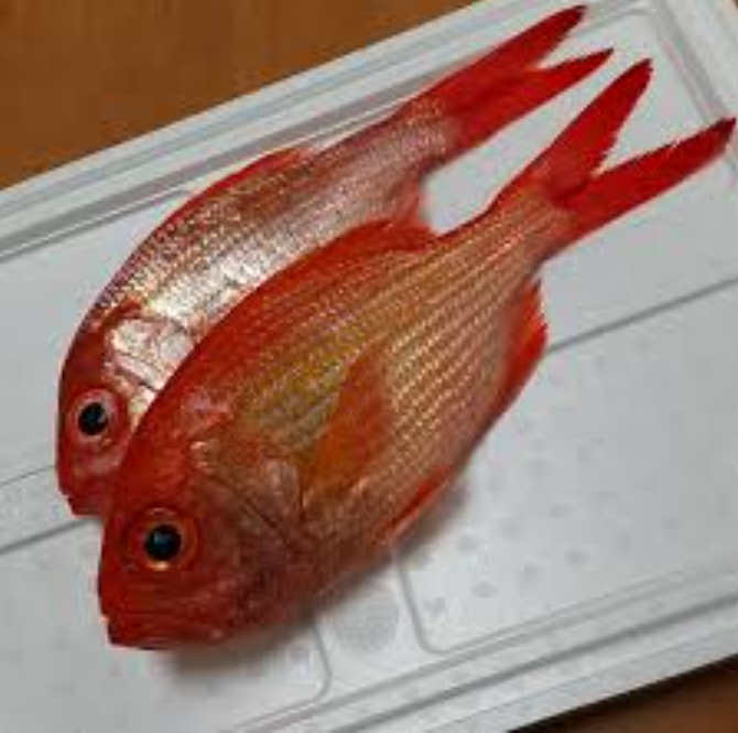 Whole Cleaned Snapper - Image 3