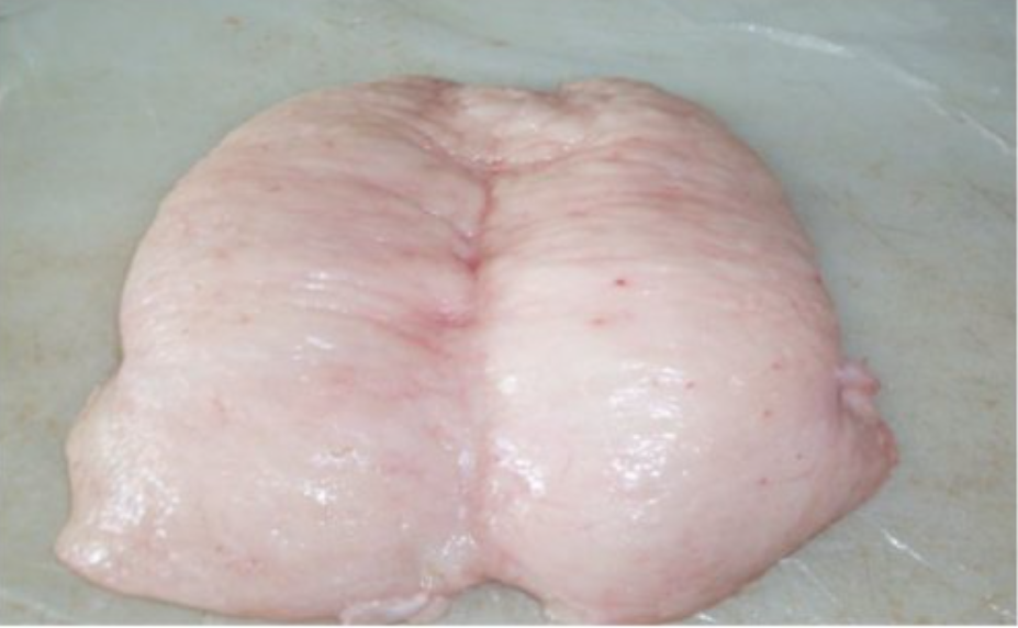 Halal Lamb Tail Fat - Image 4