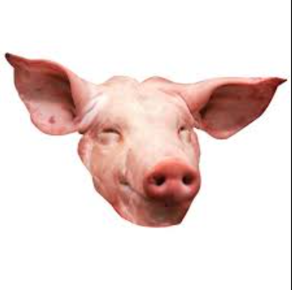 Frozen Pork Head Meat - Image 5